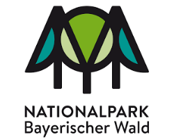 Logo NP Bay Wald